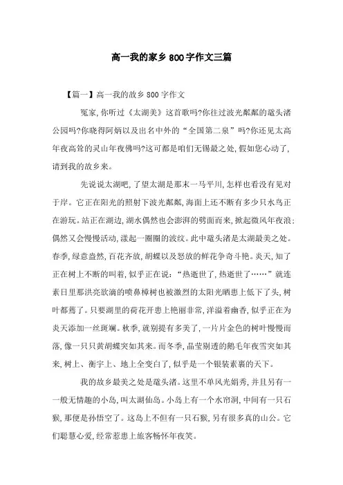 高一我的家乡800字作文三篇