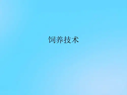 【优】饲养技术PPT资料
