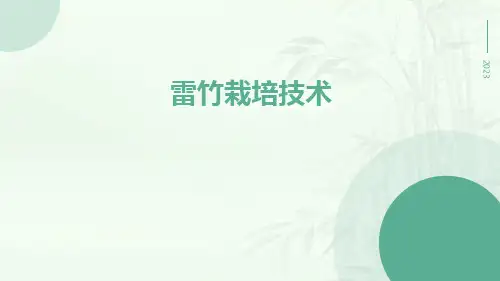 雷竹栽培技术
