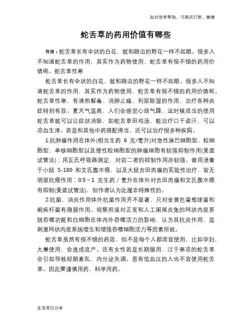 蛇舌草的药用价值有哪些