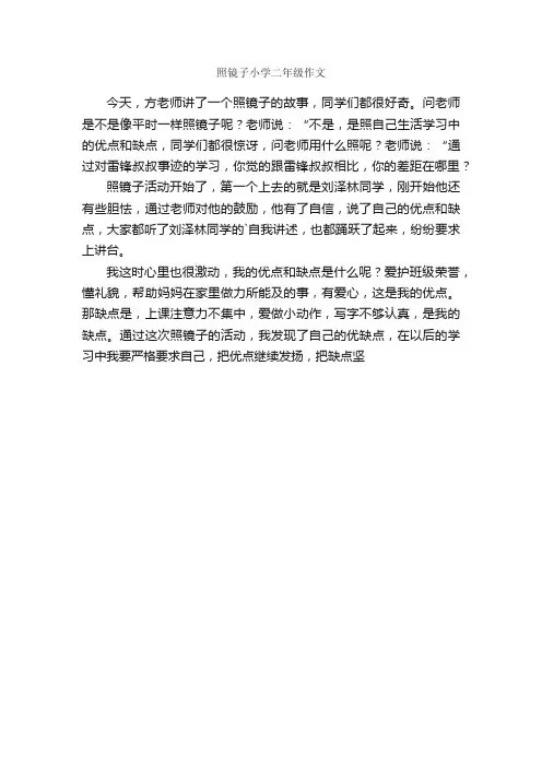 照镜子小学二年级作文