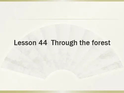 新概念英语第二册课件Lesson44(共27页)