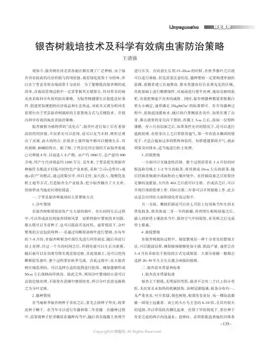 银杏树栽培技术及科学有效病虫害防治策略