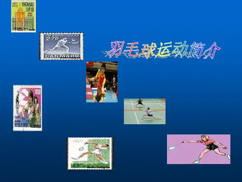 羽毛球理论课21页PPT文档