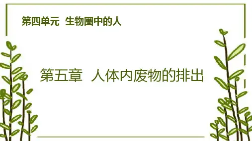 4.5 人体内废物的排出(精美课件)