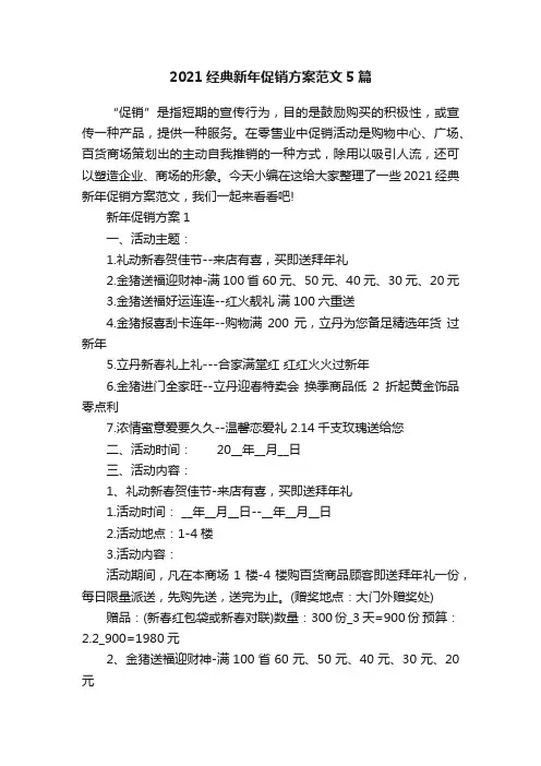 2021经典新年促销方案范文5篇