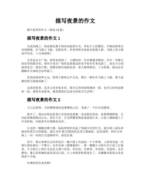 描写夜景的作文 2