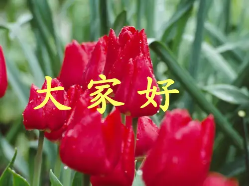 l领导干部心理健康知识讲座ppt课件