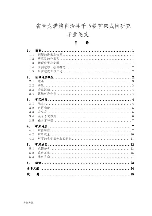 河北省青龙满族自治县千马铁矿床成因研究毕业论文