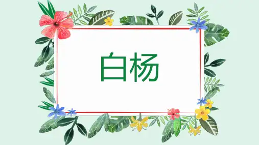 小学语文课文《白杨》一等奖优秀教学课件