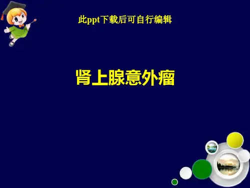 肾上腺意外瘤ppt课件