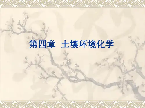 环境化学课件(第四章 土壤环境化学)