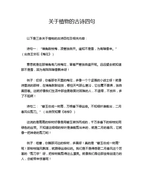 关于植物的古诗四句