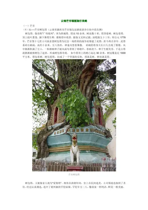 云南芒市瑞丽旅行攻略