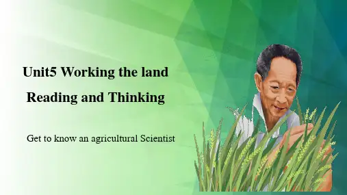 Working the Land Reading and Thinking课件(共23张PPT)