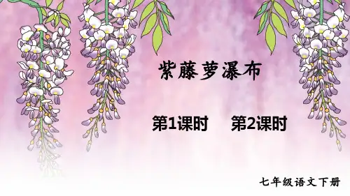 七年级语文部编版下册第18课《紫藤萝瀑布》课件(共56张PPT)