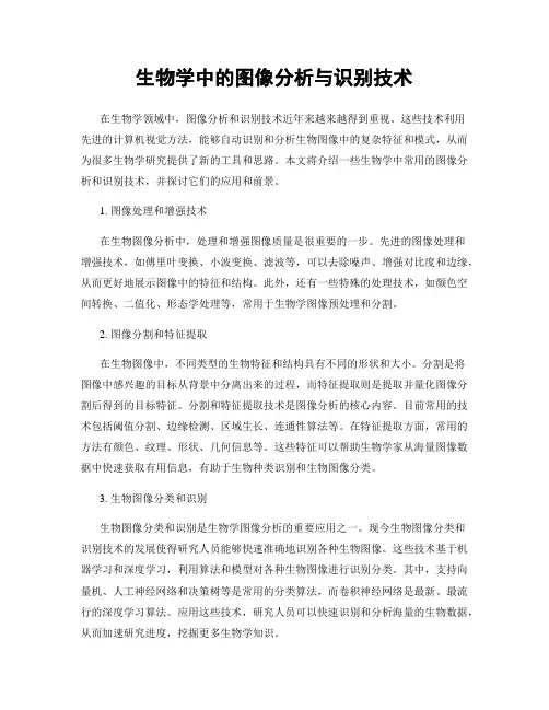 生物学中的图像分析与识别技术
