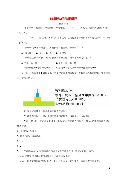 八年级生物下册 6.2.3 能量流动和物质循环评测练习(无答案)(新版)济南版
