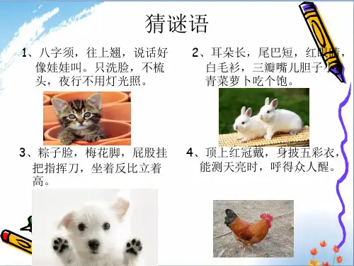 教科版三上我喜欢的小动物作文优秀课件PPT