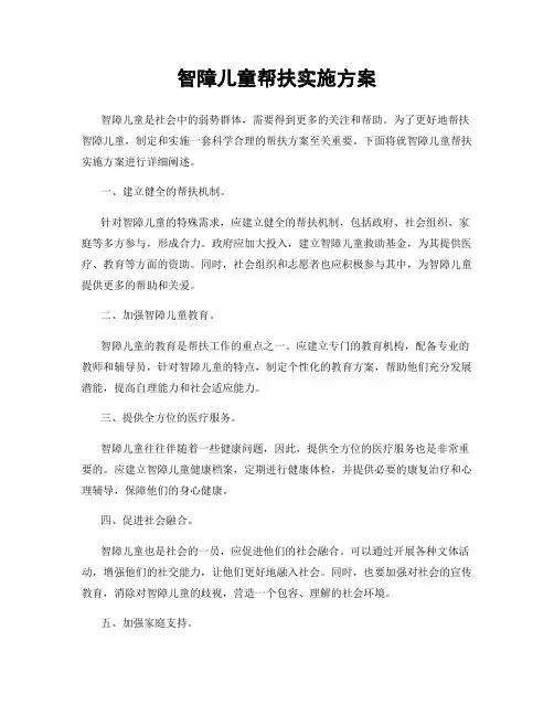 智障儿童帮扶实施方案