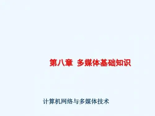 多媒体基础知识综合论述PPT(92张)
