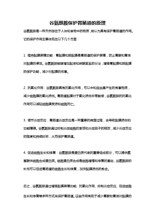 谷氨酰胺保护胃肠道的原理