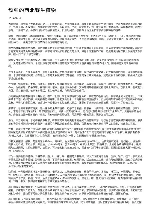 顽强的西北野生植物