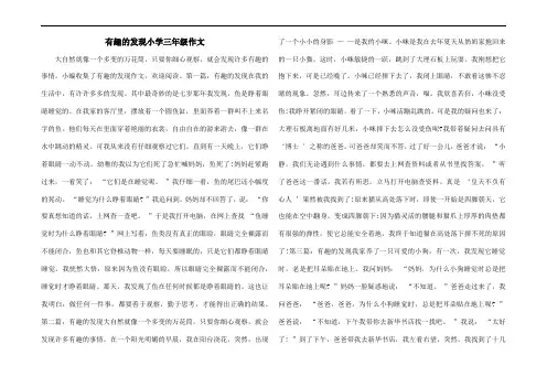 有趣的发现小学三年级作文