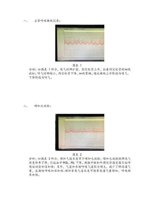 人体及动物生理学家兔的呼吸运动调节实验报告(结果与分析)