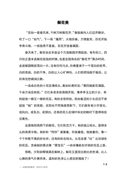 梨花美_六年级作文