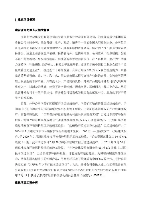 江苏井神盐化股份有限公司万吨年小苏打技术改造项目简本