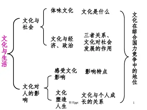 文化生活全册复习课件