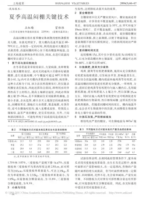 夏季高温闷棚关键技术_王红梅