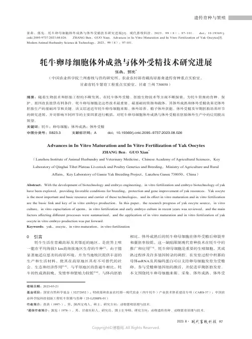 牦牛卵母细胞体外成熟与体外受精技术研究进展