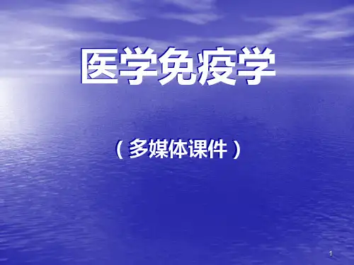 B淋巴细胞-免疫学教学课件PPT课件