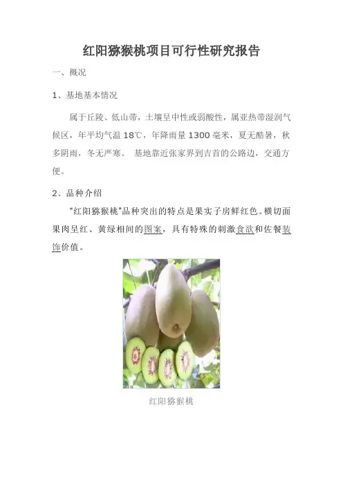 红阳猕猴桃项目可行性研究报告