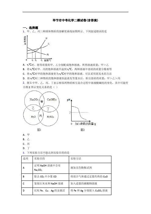 毕节市中考化学二模试卷(含答案)