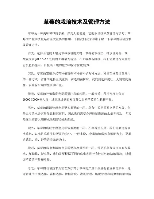 草莓的栽培技术及管理方法