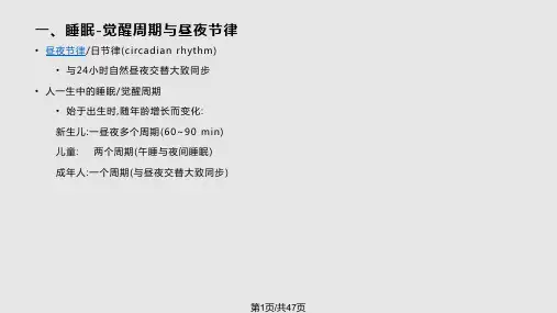 睡眠和觉醒PPT课件