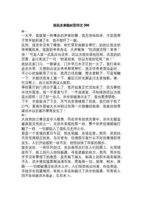 当洪水来临时的作文500