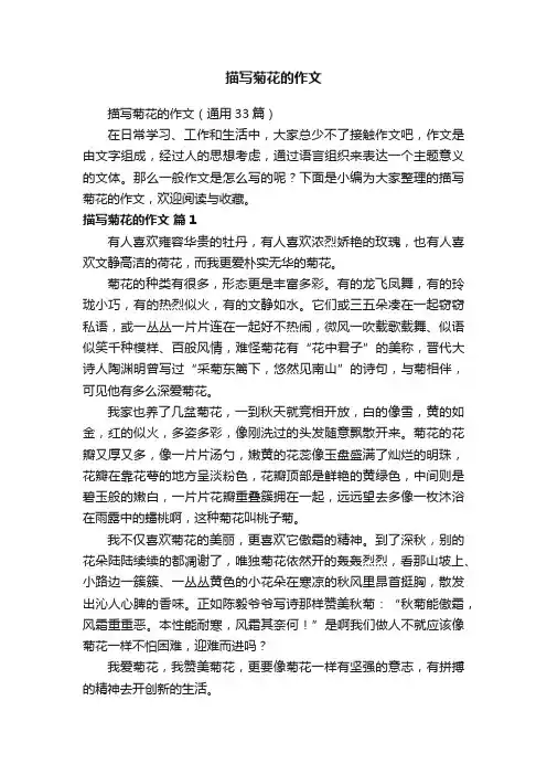 描写菊花的作文（通用33篇）