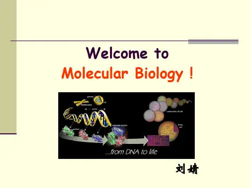 现代分子生物学第一章绪论