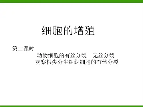 2019年动物细胞的有丝分裂无丝分裂观察根尖分生组织细胞的有丝分裂.ppt