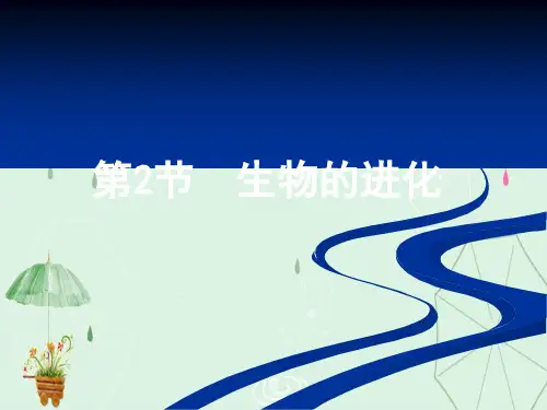 生物的进化PPT课件16 北师大版