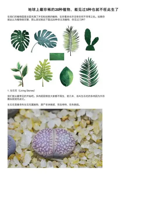 地球上最珍稀的20种植物，能见过5种也就不枉此生了