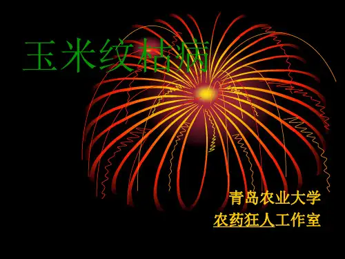 玉米纹枯病