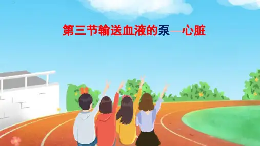 4.4.3输送血液的泵--心脏-课件2022--2023学年人教版生物七年级下册