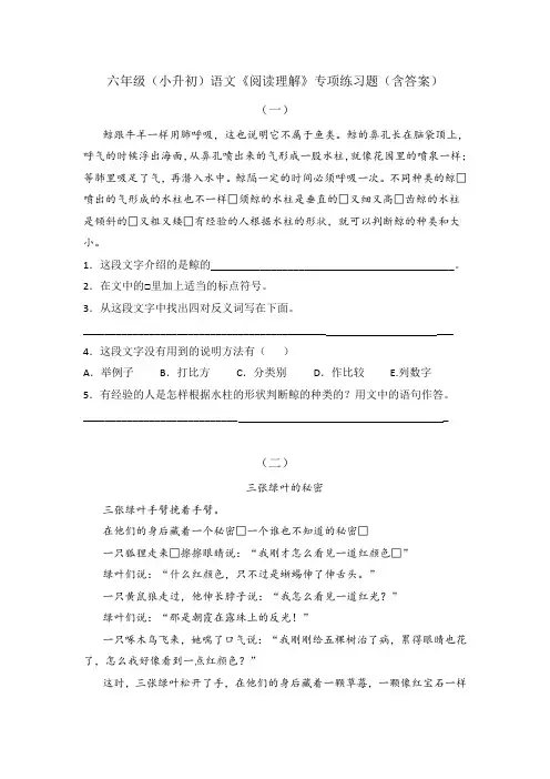 六年级(小升初)语文《阅读理解》专项练习题(含答案)