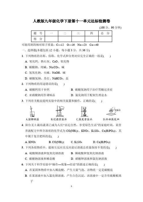 人教版九年级化学下册第十一单元达标检测卷含答案