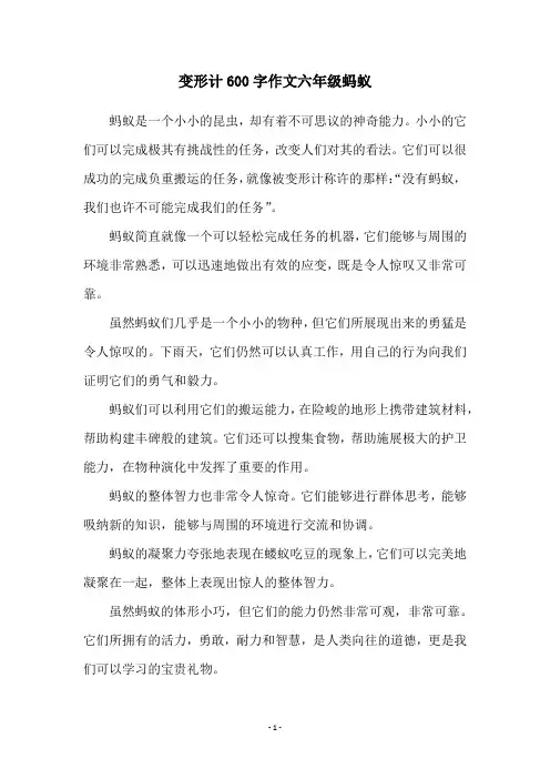 变形计600字作文六年级蚂蚁